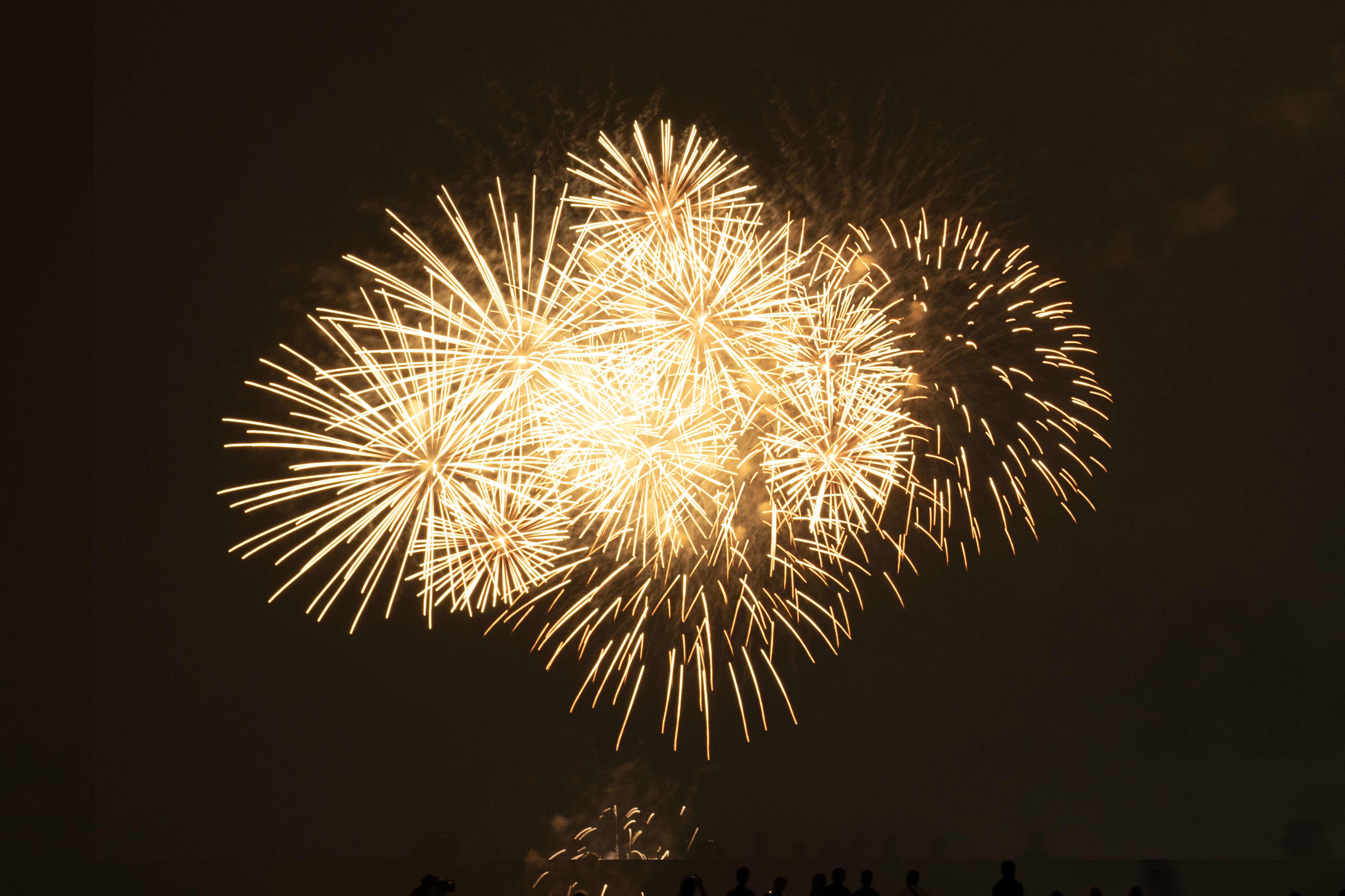 firework.shooting